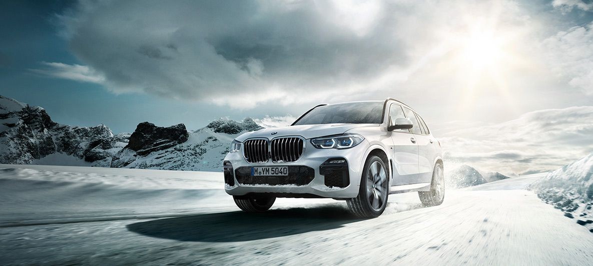 photo_in_container28219